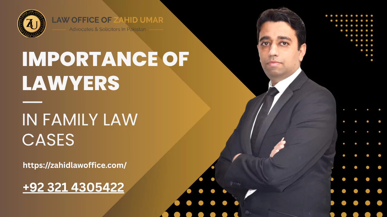 Importance of Lawyers